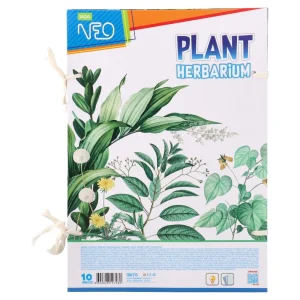 Alternative view of Plant, herbarium, 10 sheets