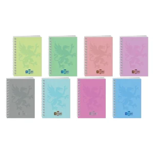 Basic spiral 100, spiral notebook, A6, line, 100 sheets, College