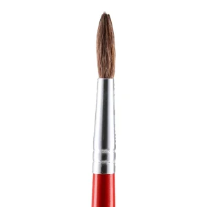 Ruby, brush, round, 12