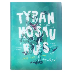 University, folder with 30 sheets, boys, A4