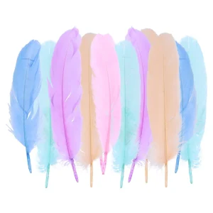 Crafty deco, craft decoration, feather, pastel, mix, 12pcs
